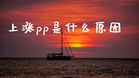 上涨pp是什么原因_https://m.fansifence.com_消费金融_第1张
