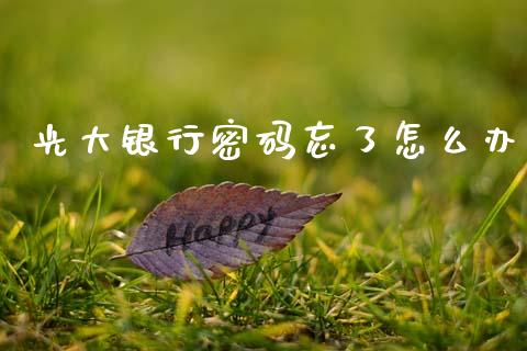 光大银行密码忘了怎么办_https://m.fansifence.com_消费金融_第1张