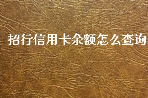 招行信用卡余额怎么查询_https://m.fansifence.com_贵金属行情_第1张