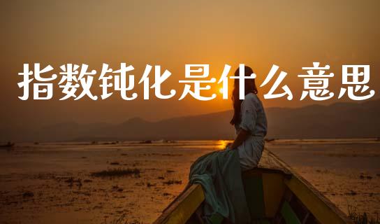 指数钝化是什么意思_https://m.fansifence.com_消费金融_第1张