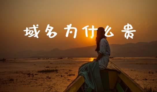 域名为什么贵_https://m.fansifence.com_公募基金_第1张