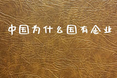 中国为什么国有企业_https://m.fansifence.com_消费金融_第1张