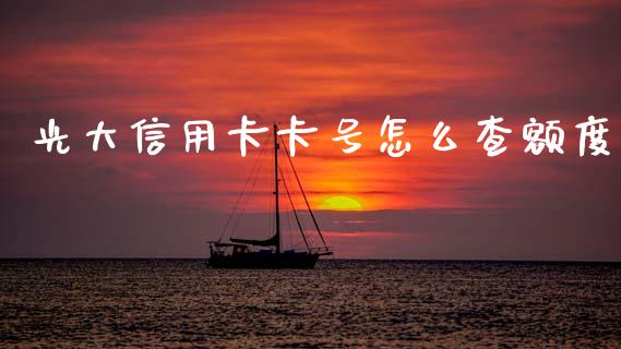 光大信用卡卡号怎么查额度_https://m.fansifence.com_个股行情_第1张