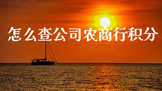 怎么查公司农商行积分_https://m.fansifence.com_个股行情_第1张