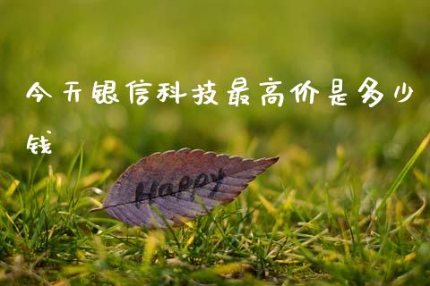 今天银信科技最高价是多少钱_https://m.fansifence.com_公募基金_第1张