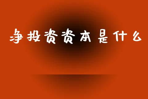 净投资资本是什么_https://m.fansifence.com_消费金融_第1张