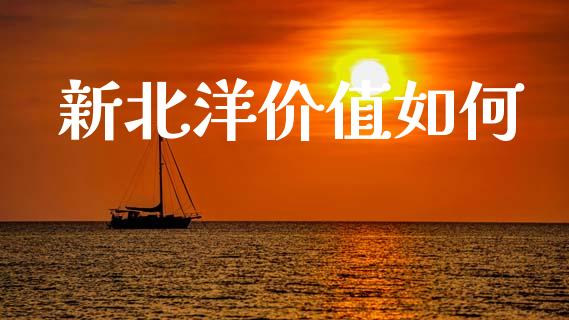 新北洋价值如何_https://m.fansifence.com_个股行情_第1张