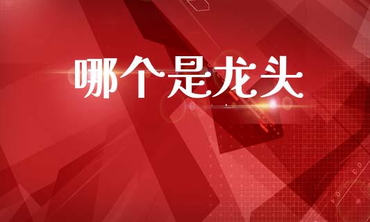 哪个是龙头_https://m.fansifence.com_公募基金_第1张