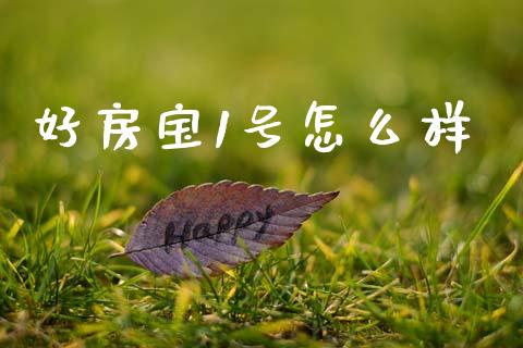好房宝1号怎么样_https://m.fansifence.com_贵金属行情_第1张