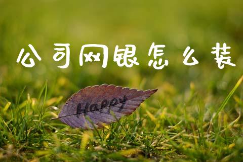 公司网银怎么装_https://m.fansifence.com_个股行情_第1张