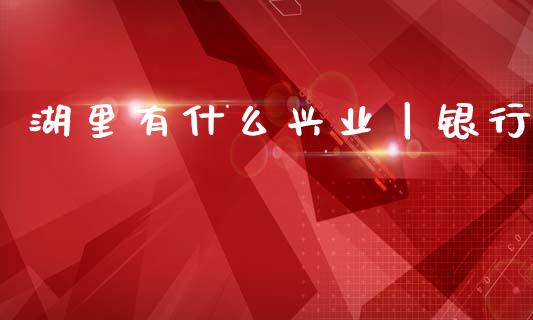 湖里有什么兴业丨银行_https://m.fansifence.com_个股行情_第1张