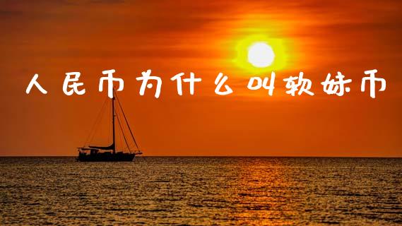 人民币为什么叫软妹币_https://m.fansifence.com_公募基金_第1张