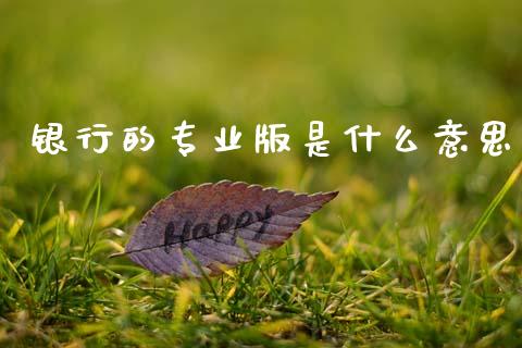 银行的专业版是什么意思_https://m.fansifence.com_个股行情_第1张