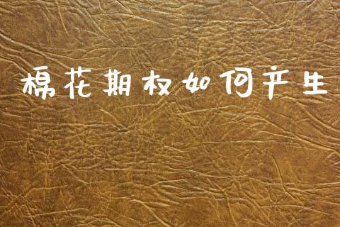 棉花期权如何产生_https://m.fansifence.com_公募基金_第1张