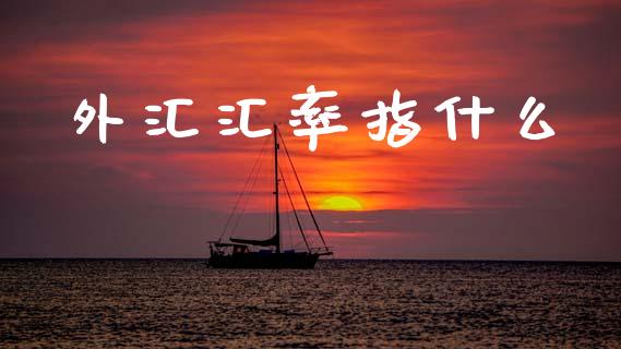 外汇汇率指什么_https://m.fansifence.com_贵金属行情_第1张