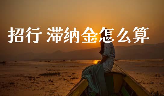 招行 滞纳金怎么算_https://m.fansifence.com_公募基金_第1张