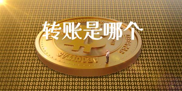 转账是哪个_https://m.fansifence.com_消费金融_第1张