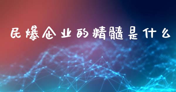 民爆企业的精髓是什么_https://m.fansifence.com_公募基金_第1张