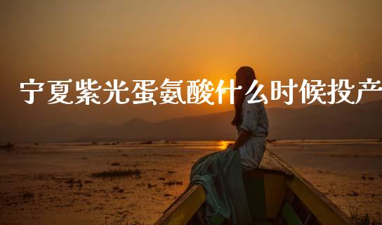 宁夏紫光蛋氨酸什么时候投产_https://m.fansifence.com_个股行情_第1张