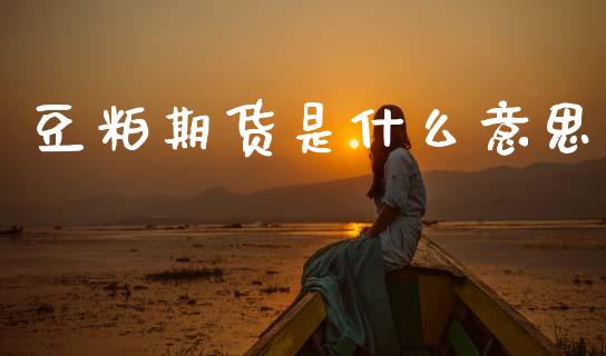 豆粕期货是什么意思_https://m.fansifence.com_公募基金_第1张