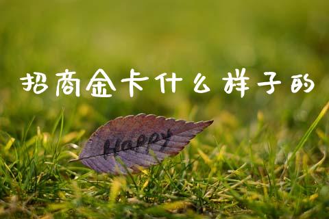 招商金卡什么样子的_https://m.fansifence.com_公募基金_第1张