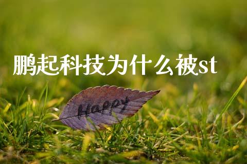鹏起科技为什么被st_https://m.fansifence.com_个股行情_第1张