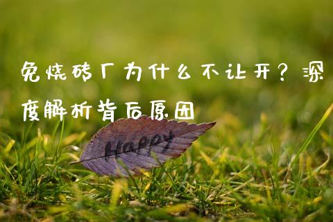 免烧砖厂为什么不让开？深度解析背后原因_https://m.fansifence.com_贵金属行情_第1张