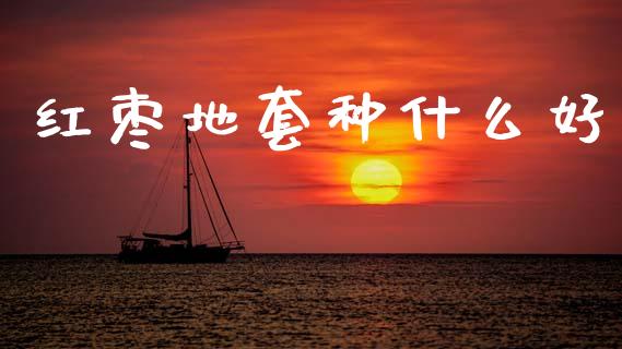 红枣地套种什么好_https://m.fansifence.com_贵金属行情_第1张