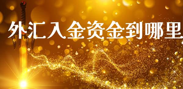 外汇入金资金到哪里_https://m.fansifence.com_贵金属行情_第1张