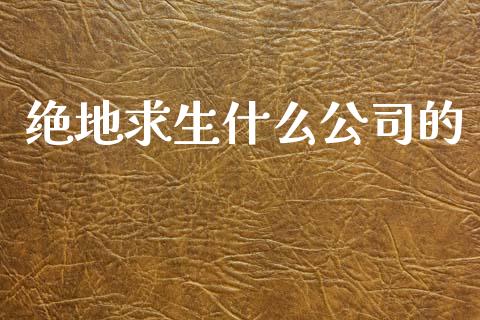 绝地求生什么公司的_https://m.fansifence.com_贵金属行情_第1张