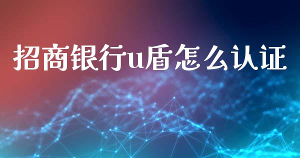 招商银行u盾怎么认证_https://m.fansifence.com_公募基金_第1张