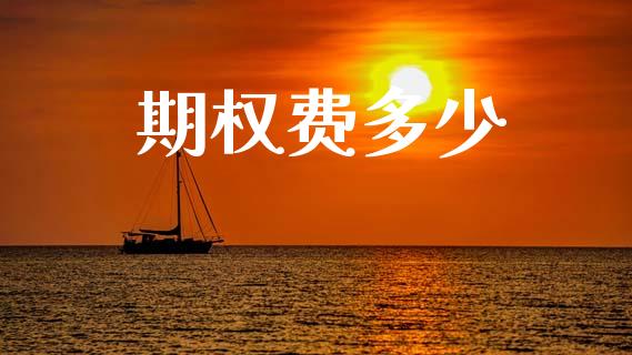 期权费多少_https://m.fansifence.com_贵金属行情_第1张