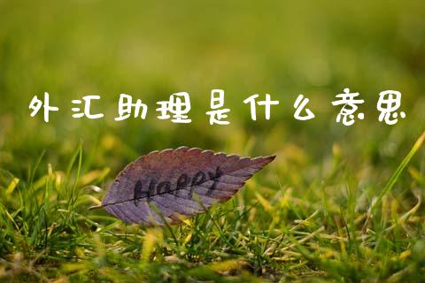 外汇助理是什么意思_https://m.fansifence.com_公募基金_第1张