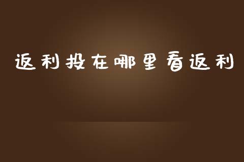 返利投在哪里看返利_https://m.fansifence.com_公募基金_第1张