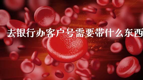 去银行办客户号需要带什么东西_https://m.fansifence.com_个股行情_第1张