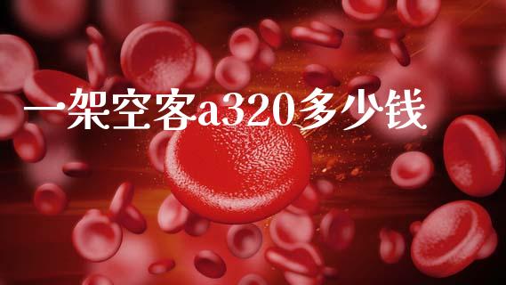 一架空客a320多少钱_https://m.fansifence.com_消费金融_第1张
