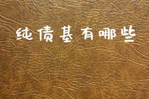 纯债基有哪些_https://m.fansifence.com_消费金融_第1张