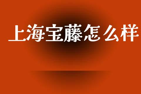 上海宝藤怎么样_https://m.fansifence.com_公募基金_第1张