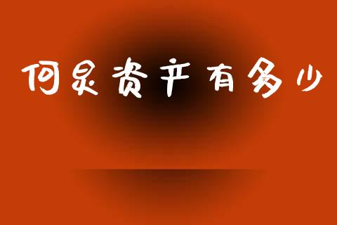 何炅资产有多少_https://m.fansifence.com_公募基金_第1张