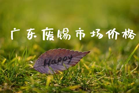 广东废锡市场价格_https://m.fansifence.com_消费金融_第1张
