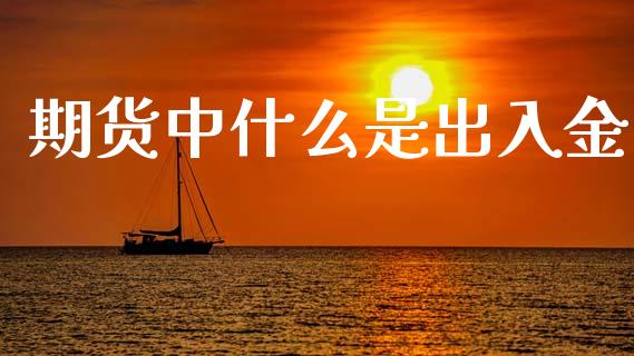 期货中什么是出入金_https://m.fansifence.com_公募基金_第1张