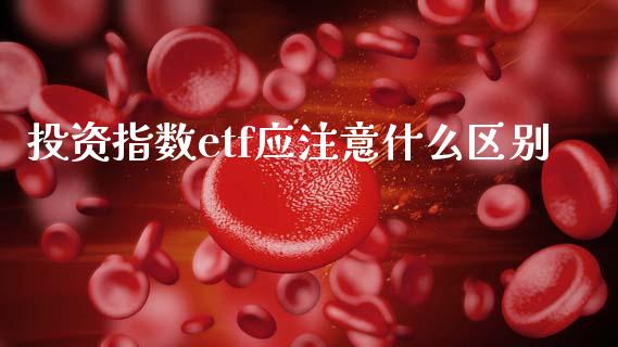 投资指数etf应注意什么区别_https://m.fansifence.com_个股行情_第1张