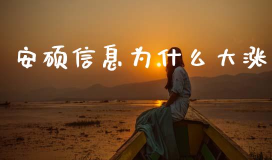 安硕信息为什么大涨_https://m.fansifence.com_贵金属行情_第1张
