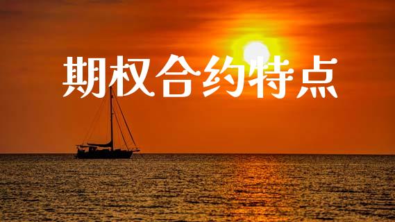 期权合约特点_https://m.fansifence.com_公募基金_第1张