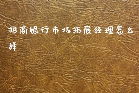 招商银行市场拓展经理怎么样_https://m.fansifence.com_个股行情_第1张