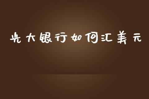 光大银行如何汇美元_https://m.fansifence.com_个股行情_第1张