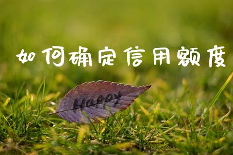 如何确定信用额度_https://m.fansifence.com_消费金融_第1张