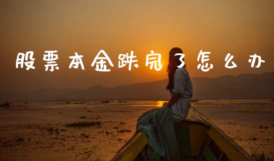 股票本金跌完了怎么办_https://m.fansifence.com_消费金融_第1张