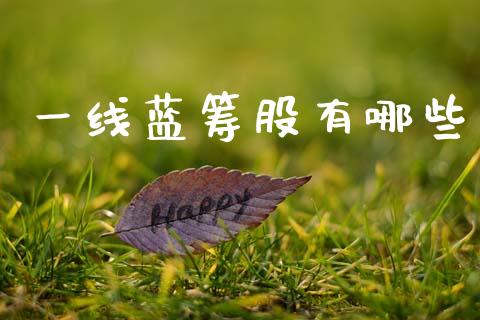 一线蓝筹股有哪些_公募基金_第1张_个股行情_消费金融_贵金属行情_公募基金 一线蓝筹股有哪些_https://m.fansifence.com_公募基金_第1张