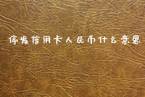停发信用卡人民币什么意思_https://m.fansifence.com_公募基金_第1张